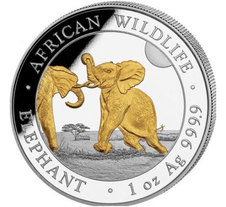 SOMALI ELEPHANT - GILDED - 1 OZ 2024 SOMALIA .999 AG - STRIEBORNÁ ZBERATEĽSKÁ POZLÁTENÁ MINCA